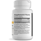 Acetyl L-Carnitine